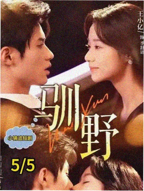冷静理性型角色档案封面